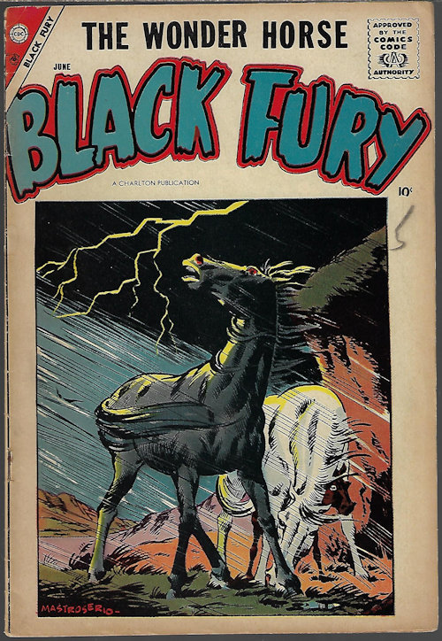 BLACK FURY - Black Fury: June #14