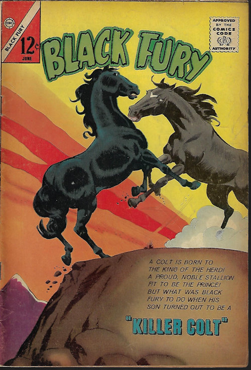 BLACK FURY - Black Fury: June #42